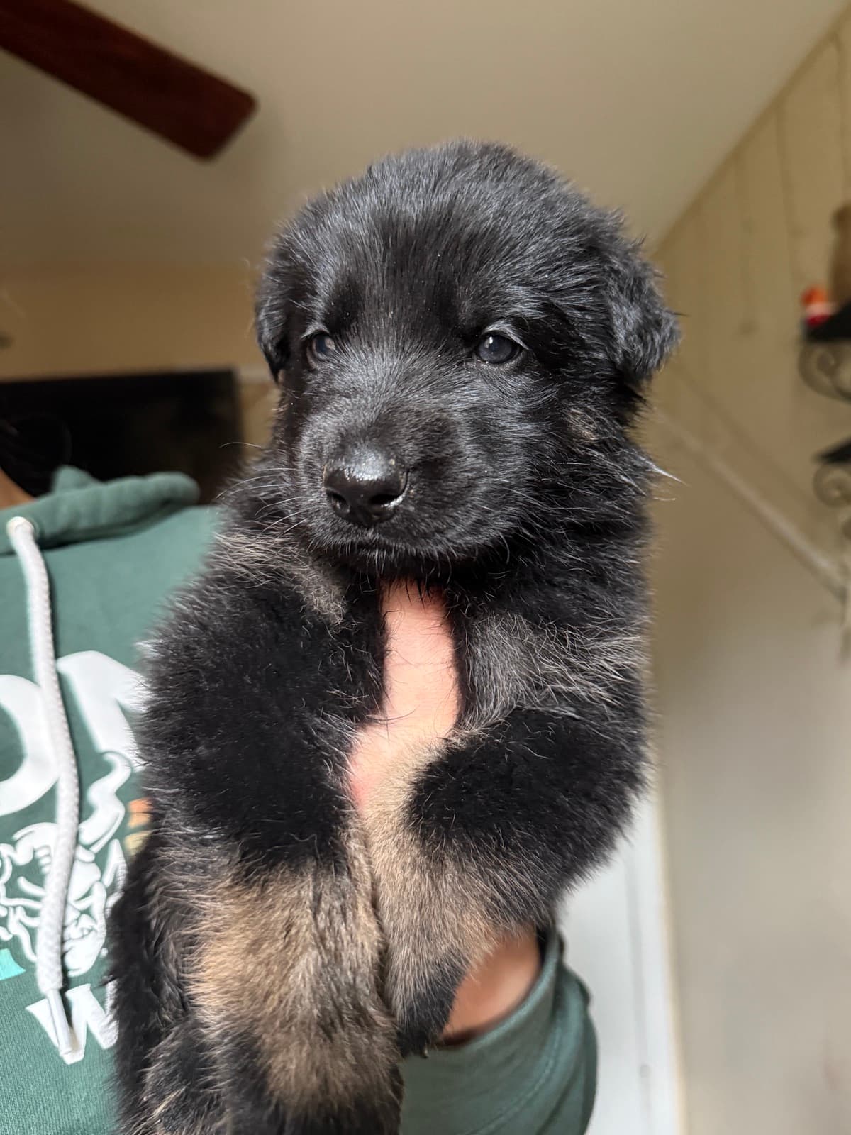 Amy at four weeks
